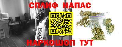 прущие грибы Ипатово